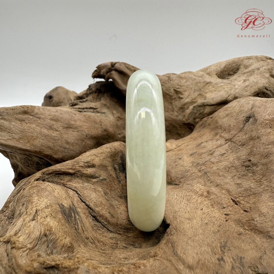 【肌容雪】天然緬甸A貨黃翡半山辦水翡翠手鐲 編號220(鐲寬 58.5mm #19號)