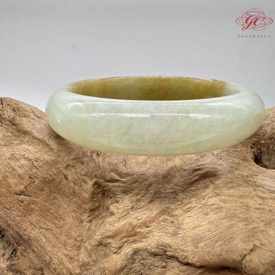 【肌容雪】天然緬甸A貨黃翡半山辦水翡翠手鐲 編號220(鐲寬 58.5mm #19號)