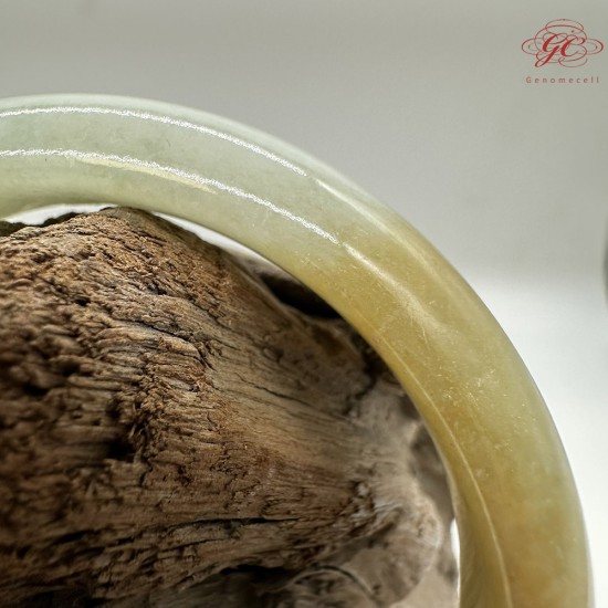 【肌容雪】天然緬甸A貨黃翡半山辦水翡翠手鐲 編號220(鐲寬 58.5mm #19號)