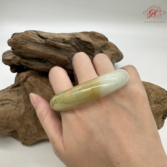 【肌容雪】天然緬甸A貨黃翡半山辦水翡翠手鐲 編號220(鐲寬 58.5mm #19號)