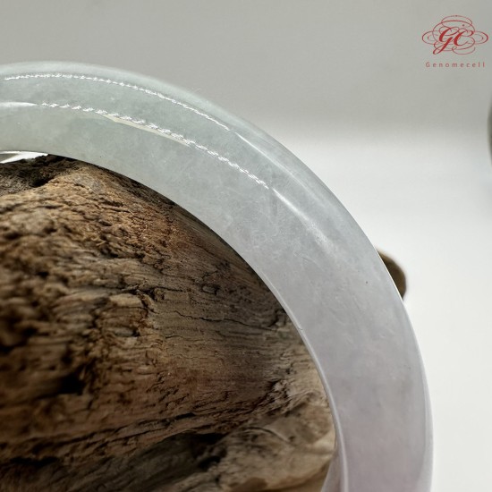 【肌容雪】天然緬甸A貨春彩翡翠平安鐲 編號221(鐲圍55.8mm#17.5號)