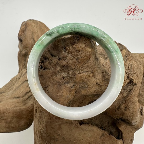 【肌容雪】天然緬甸A貨綠飄花翡翠平安鐲 編號223(鐲圍57.4mm#18號)