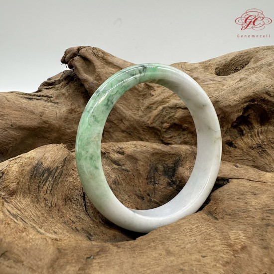 【肌容雪】天然緬甸A貨綠飄花翡翠平安鐲 編號223(鐲圍57.4mm#18號)