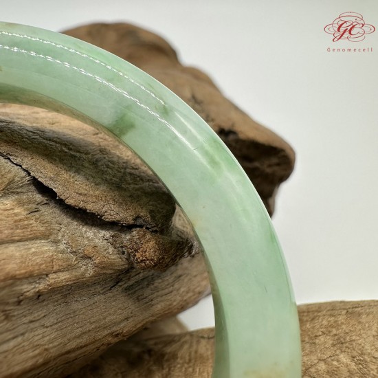 【肌容雪】天然緬甸A貨滿綠撒金翡翠平安鐲 編號226(鐲圍57.9mm#18號)