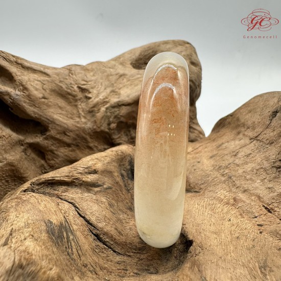 【肌容雪】天然緬甸A貨冰紅翡翠平安鐲 編號236(鐲圍58.3mm#18.5號)