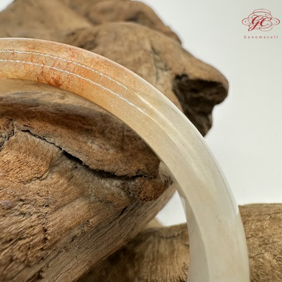 【肌容雪】天然緬甸A貨冰紅翡翠平安鐲 編號236(鐲圍58.3mm#18.5號)