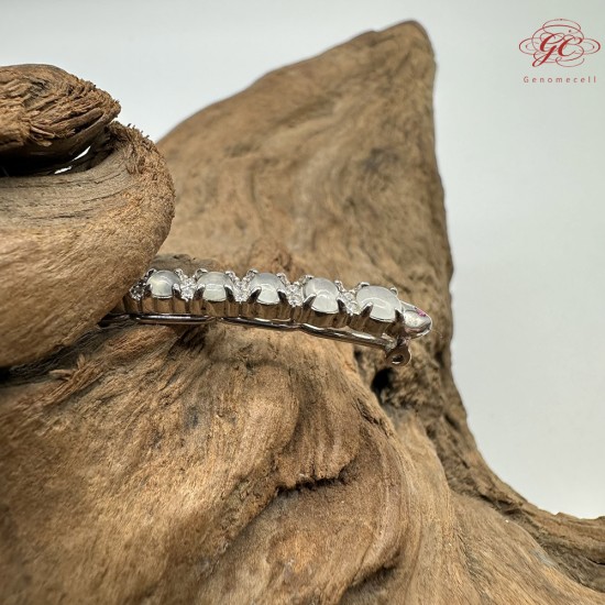 【肌容雪】天然緬甸A貨小魚造型胸針 編號243