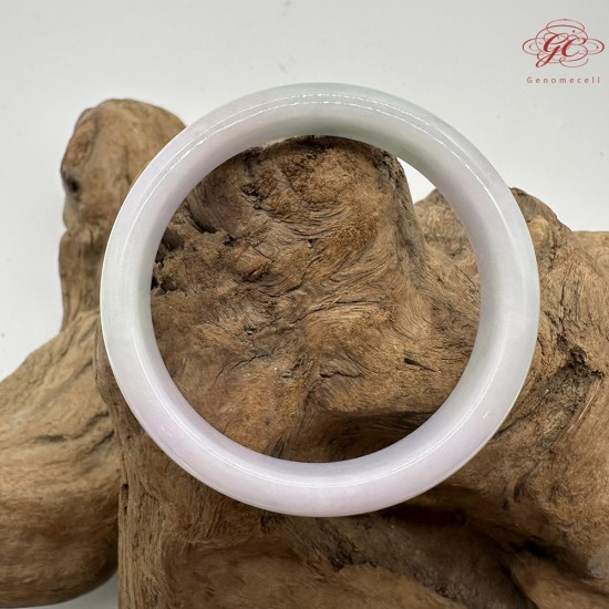 【肌容雪】天然緬甸A貨春帶彩翡翠平安鐲 編號244(鐲圍54.5mm#17號)