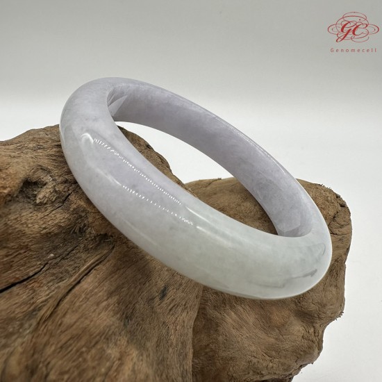 【肌容雪】天然緬甸A貨糯冰春彩翡翠平安鐲 編號246(鐲圍57.7mm#18號) 【肌容雪】天然緬甸A貨糯冰春彩翡翠平安鐲 編號246(鐲圍57.7mm#18號)