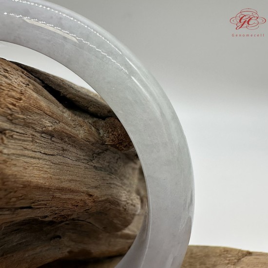 【肌容雪】天然緬甸A貨糯冰春彩翡翠平安鐲 編號246(鐲圍57.7mm#18號) 【肌容雪】天然緬甸A貨糯冰春彩翡翠平安鐲 編號246(鐲圍57.7mm#18號)