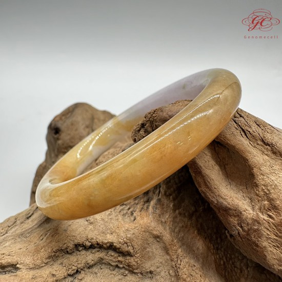 【肌容雪】天然緬甸A貨黃翡三彩翡翠圓條手鐲 編號252(鐲圍55.6mm#17.5號) 【肌容雪】天然緬甸A貨黃翡三彩翡翠圓條手鐲 編號252(鐲圍55.6mm#17.5號)