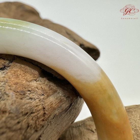 【肌容雪】天然緬甸A貨黃翡三彩翡翠圓條手鐲 編號252(鐲圍55.6mm#17.5號) 【肌容雪】天然緬甸A貨黃翡三彩翡翠圓條手鐲 編號252(鐲圍55.6mm#17.5號)
