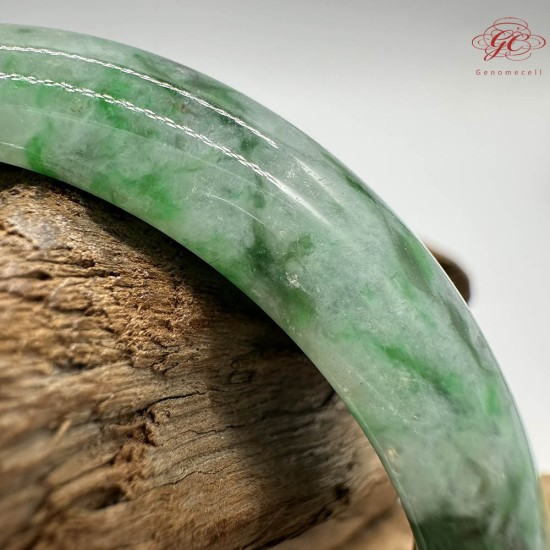 【肌容雪】天然緬甸A貨正陽滿綠飄花翡翠平安鐲 編號259(鐲圍55.7mm#17.5號)