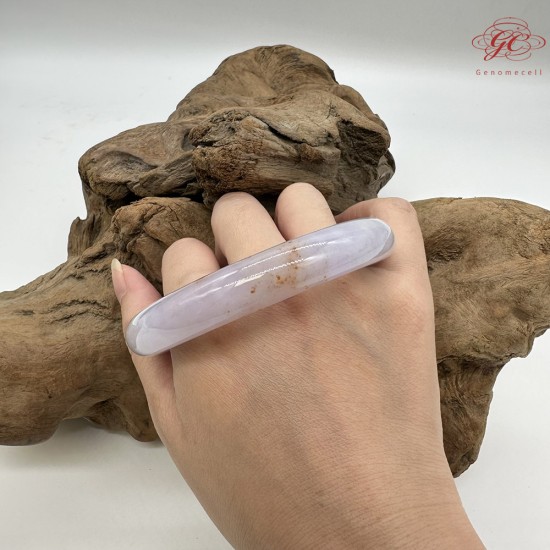 【肌容雪】天然緬甸A貨冰粉春灑金翡翠圓條手鐲 編號264(鐲圍56.9mm#18號)