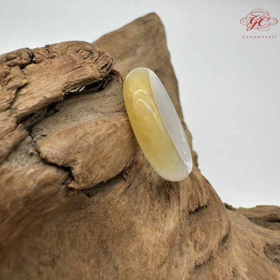 【肌容雪】天然緬甸A貨黃翡翠戒圈 編號265(戒圍19.6mm#17號)