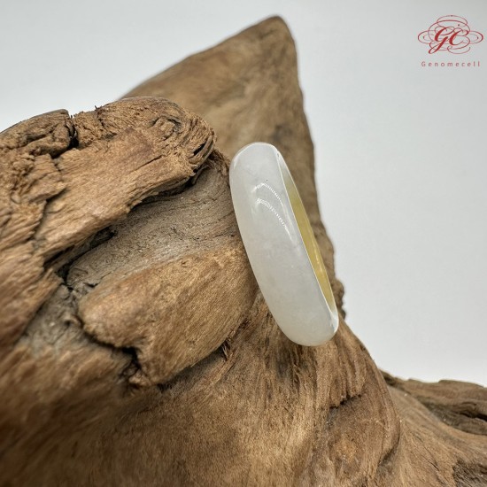 【肌容雪】天然緬甸A貨黃翡翠戒圈 編號265(戒圍19.6mm#17號)