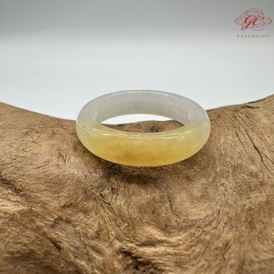 【肌容雪】天然緬甸A貨黃翡翠戒圈 編號265(戒圍19.6mm#17號)