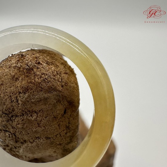 【肌容雪】天然緬甸A貨黃翡翠戒圈 編號265(戒圍19.6mm#17號)