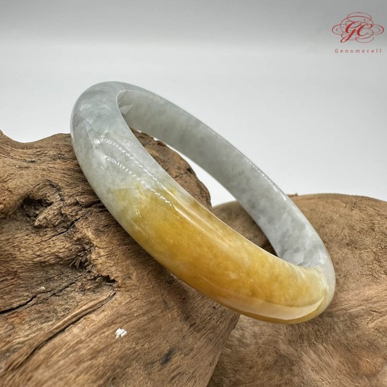 【肌容雪】天然緬甸A貨黃頭烏雞翡翠平安鐲 編號271(鐲圍57.8mm#18號)