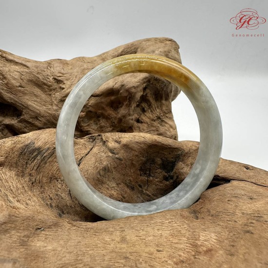 【肌容雪】天然緬甸A貨黃頭烏雞翡翠平安鐲 編號271(鐲圍57.8mm#18號)