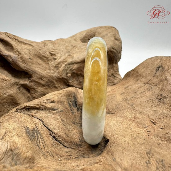 【肌容雪】天然緬甸A貨黃頭烏雞翡翠平安鐲 編號271(鐲圍57.8mm#18號)