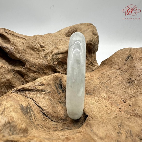 【肌容雪】天然緬甸A貨黃頭烏雞翡翠平安鐲 編號271(鐲圍57.8mm#18號)