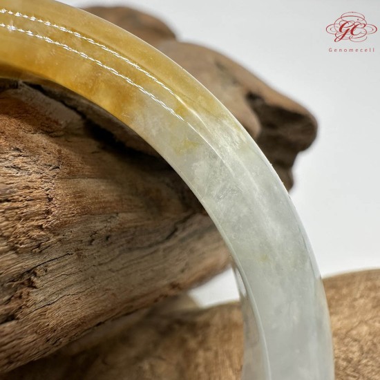 【肌容雪】天然緬甸A貨黃頭烏雞翡翠平安鐲 編號271(鐲圍57.8mm#18號)