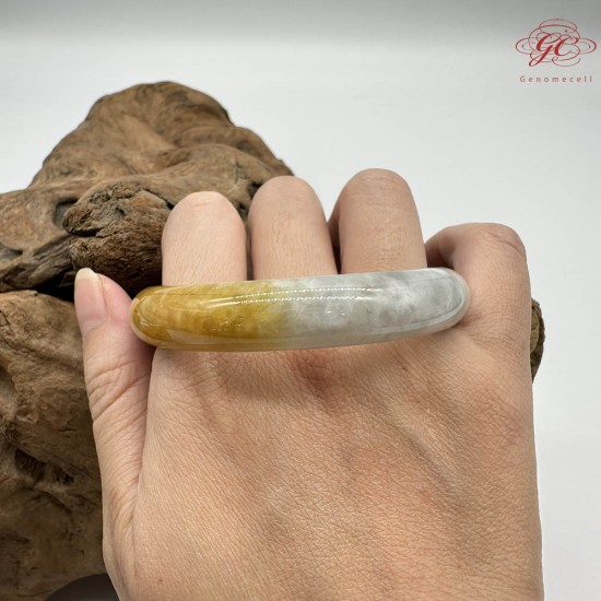 【肌容雪】天然緬甸A貨黃頭烏雞翡翠平安鐲 編號271(鐲圍57.8mm#18號)