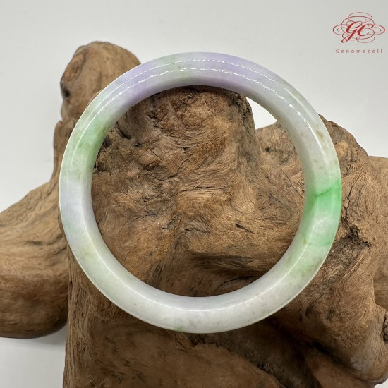 【肌容雪】天然緬甸A貨春帶彩三色烏雞翡翠平安鐲 編號281(鐲圍58.5mm#18.5號)