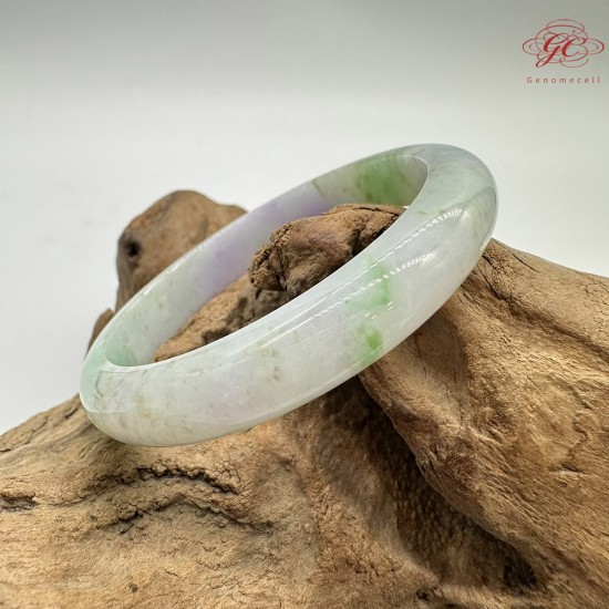 【肌容雪】天然緬甸A貨春帶彩三色烏雞翡翠平安鐲 編號281(鐲圍58.5mm#18.5號)