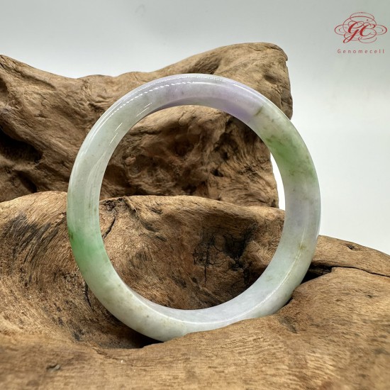 【肌容雪】天然緬甸A貨春帶彩三色烏雞翡翠平安鐲 編號281(鐲圍58.5mm#18.5號)