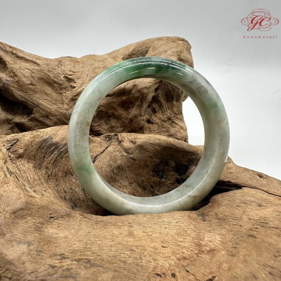 【肌容雪】天然緬甸A貨翡翠正陽白底綠飄花平安鐲 編號310(鐲圍54.3mm#17號)