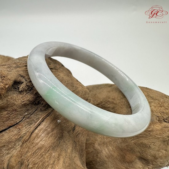 【肌容雪】天然緬甸A貨春帶彩翡翠平安鐲 編號312(鐲圍57.3mm#18號)