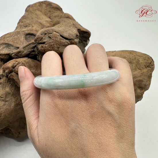 【肌容雪】天然緬甸A貨春帶彩翡翠平安鐲 編號312(鐲圍57.3mm#18號)