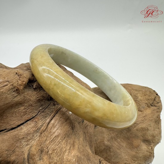 【肌容雪】天然緬甸A貨黃綠雙彩翡翠平安鐲 編號315(鐲圍56.8mm#18號)