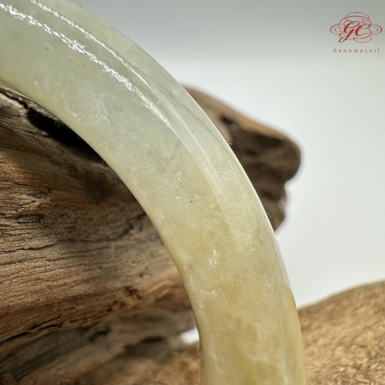 【肌容雪】天然緬甸A貨黃綠雙彩翡翠平安鐲 編號315(鐲圍56.8mm#18號)