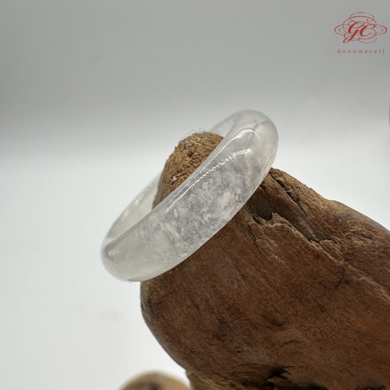 【肌容雪】天然緬甸A貨翡翠白雪花棉戒圈 編號317(戒圍18.0mm#14號) 【肌容雪】天然緬甸A貨翡翠白雪花棉戒圈 編號317(戒圍18.0mm#14號)