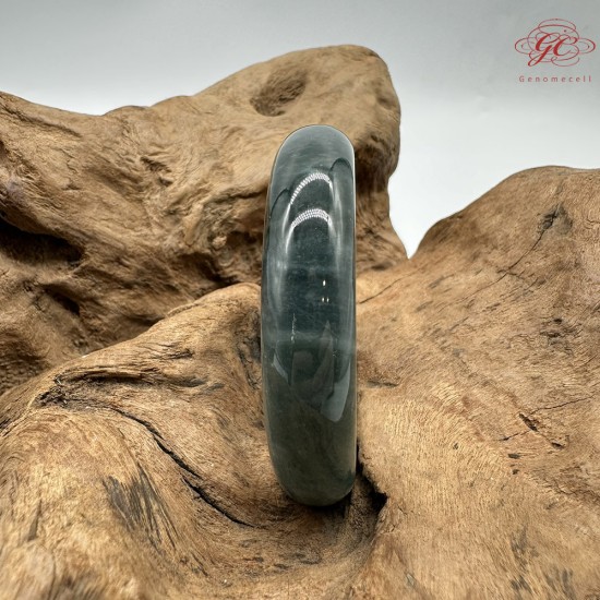 【肌容雪】天然緬甸A貨翡翠老種藍水平安鐲 編號318(鐲圍57.3mm#18號)