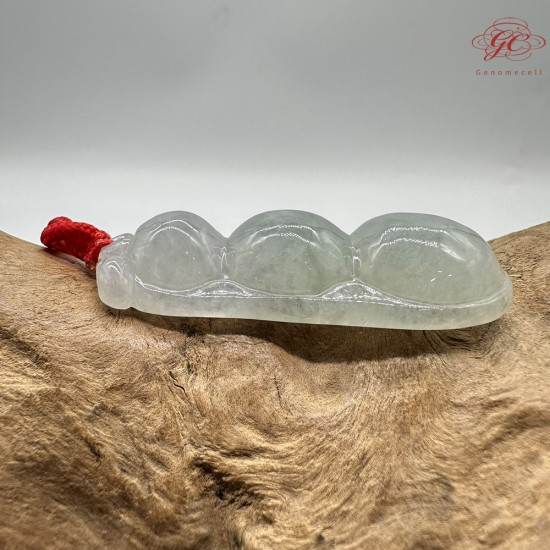 【肌容雪】天然緬甸A貨翡翠碗豆造型吊墜繩 編號325