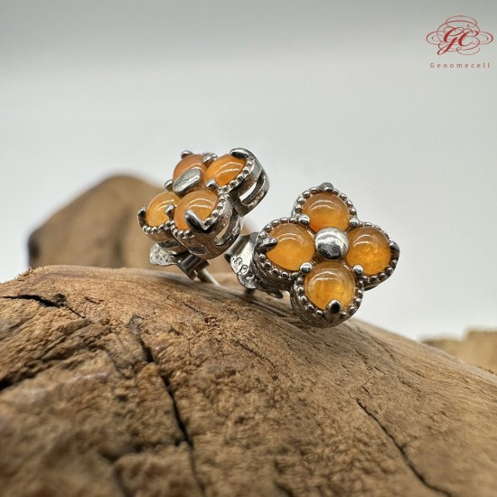 【肌容雪】天然緬甸A貨紅翡四葉草造型耳針 編號334