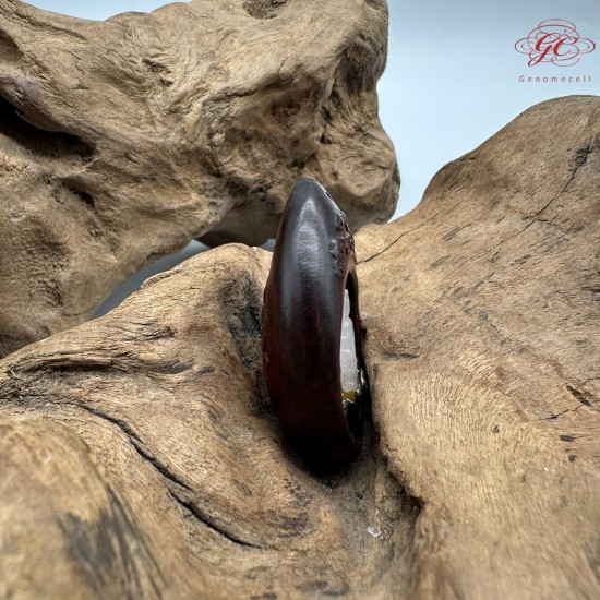 【肌容雪】天然緬甸A貨翡翠觀音雕飾造型吊墜繩 編號350