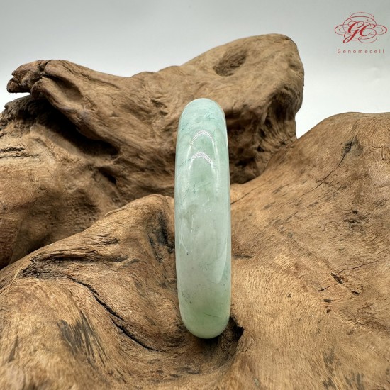 【肌容雪】天然緬甸A貨綠飄花翡翠平安鐲 編號352(鐲圍56.4mm#17.5號)