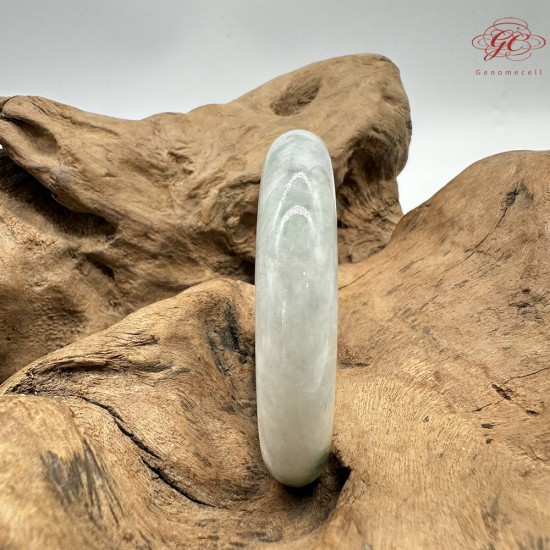 【肌容雪】天然緬甸A貨翡翠白底綠花平安鐲 編號357(鐲圍53.7mm#17號)