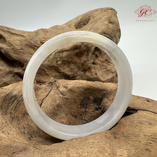 【肌容雪】天然緬甸A貨糯冰粉炫彩翡翠平安鐲 編號358(鐲圍58.4mm#18.5號)