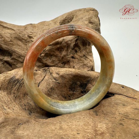 【肌容雪】天然緬甸A貨翡翠糯冰黃翡烏雞平安鐲 編號359(鐲圍59.2mm#18.5號)