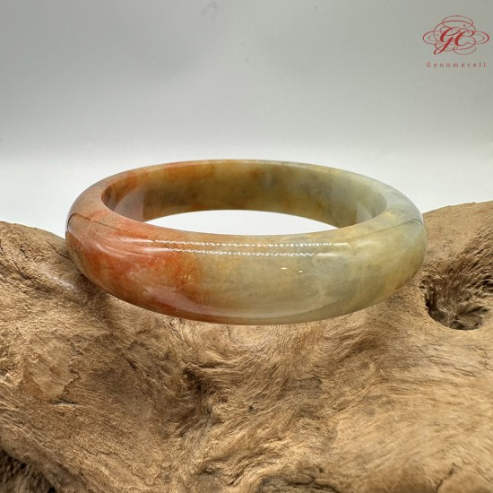 【肌容雪】天然緬甸A貨翡翠糯冰黃翡烏雞平安鐲 編號359(鐲圍59.2mm#18.5號)