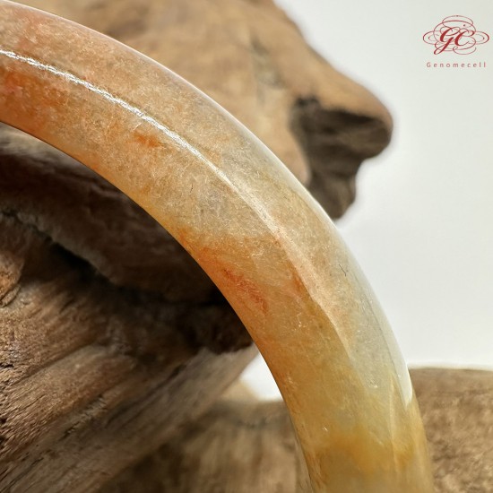 【肌容雪】天然緬甸A貨翡翠糯冰黃翡烏雞平安鐲 編號359(鐲圍59.2mm#18.5號)