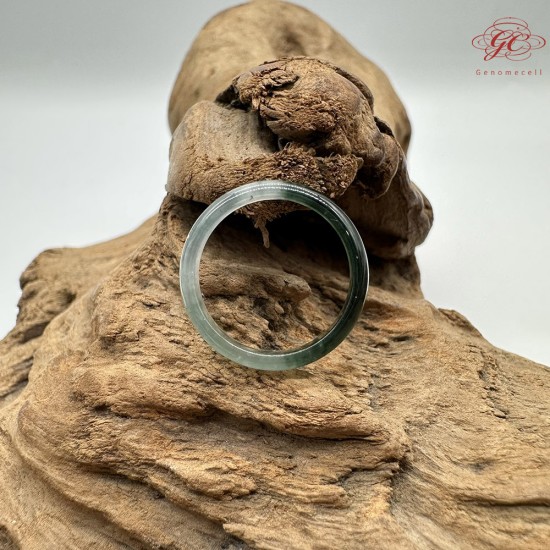 【肌容雪】天然緬甸A貨半山半水翡翠戒圈 編號375(戒圍17.5mm#12號)