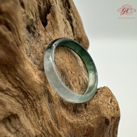 【肌容雪】天然緬甸A貨半山半水翡翠戒圈 編號375(戒圍17.5mm#12號)