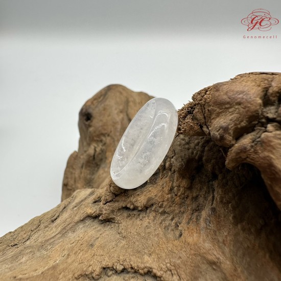 【肌容雪】天然緬甸A貨白月光翡翠戒圈 編號380(戒圍18.4mm#14號)